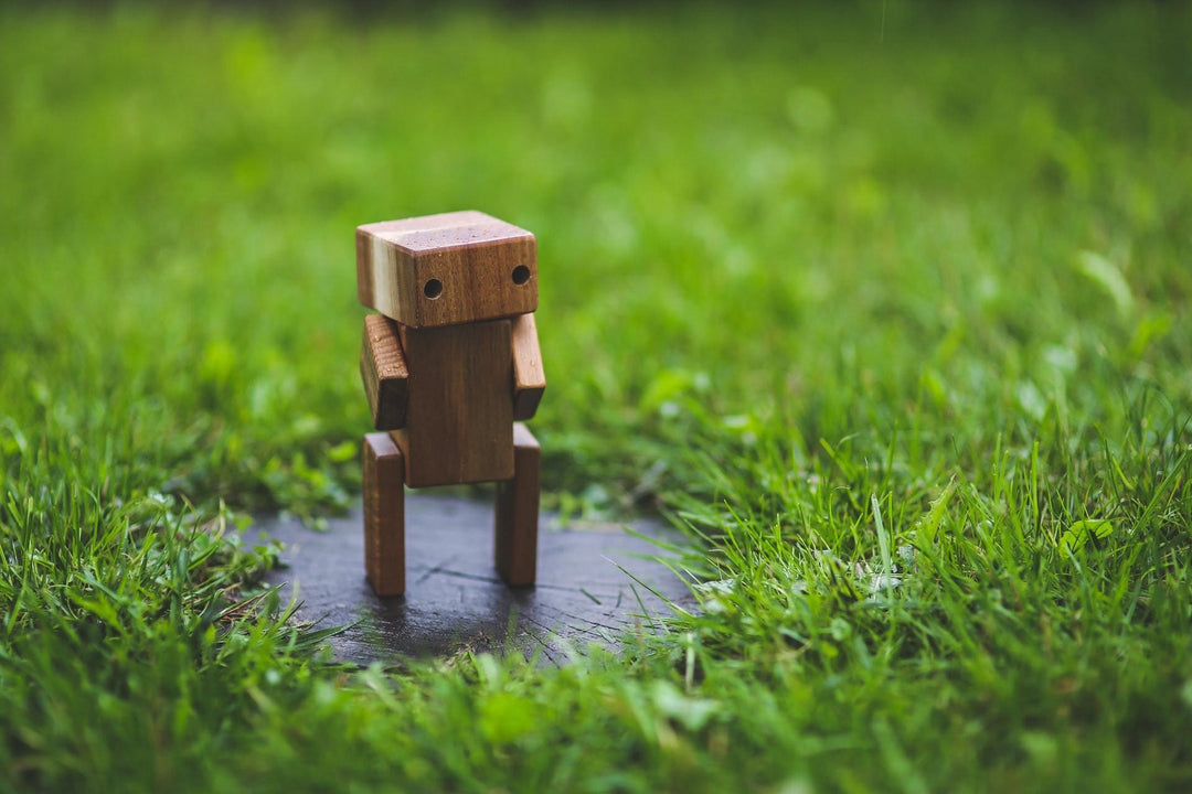 Automating Bonsai Care