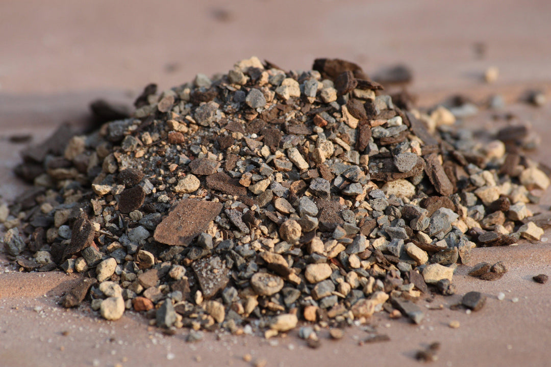 What Type Of Soil Should You Use For Your Bonsai Tree?