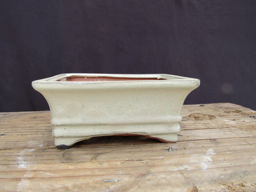 White Glazed Ceramic Professional Bonsai Pot - Rectangle