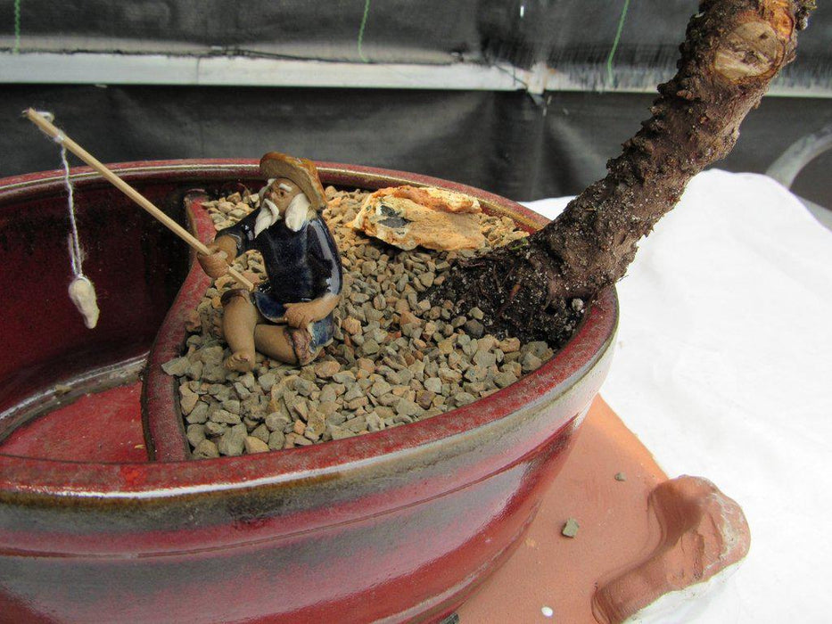 Land & Water Traditional Juniper Bonsai Tree Water Pot
