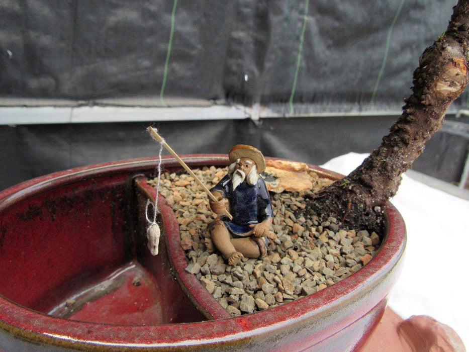 Land & Water Traditional Juniper Bonsai Tree Fisherman Figurine