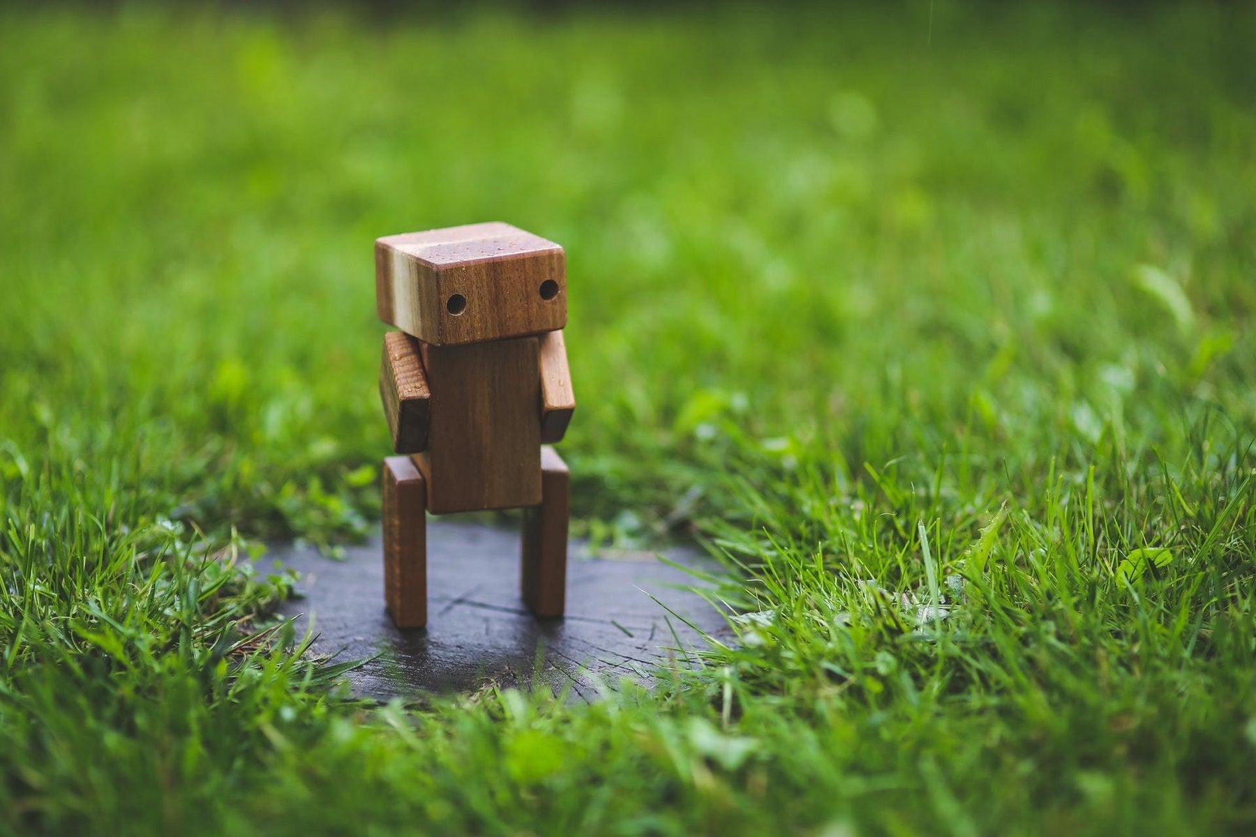 Automating Bonsai Care