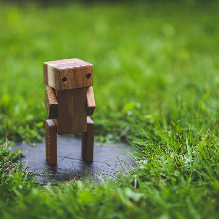 Automating Bonsai Care