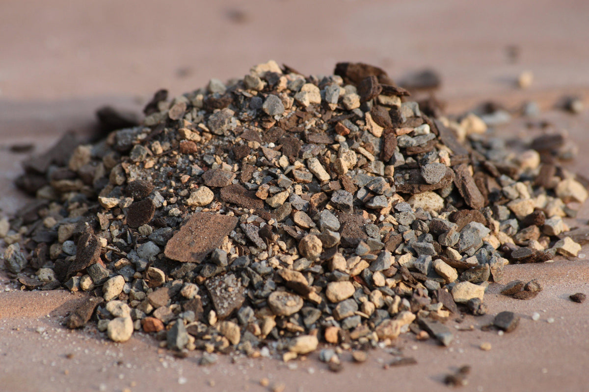 What Type Of Soil Should You Use For Your Bonsai Tree?