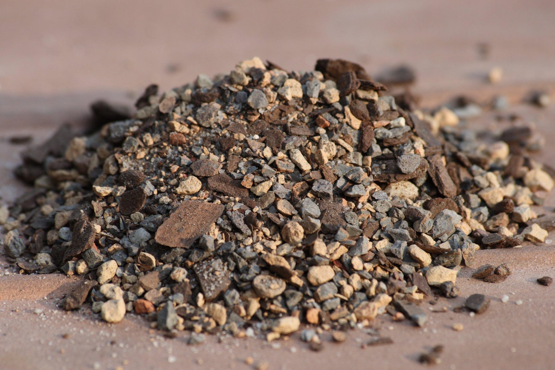 What Type Of Soil Should You Use For Your Bonsai Tree?