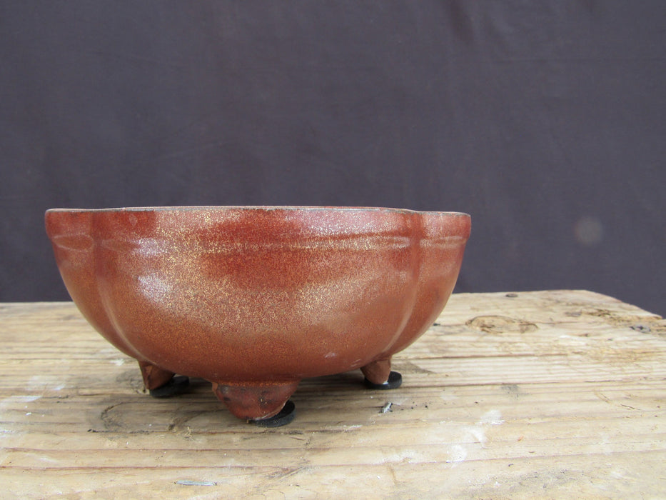 Aztec Orange Ceramic Professional Bonsai Pot - Lotus - Side