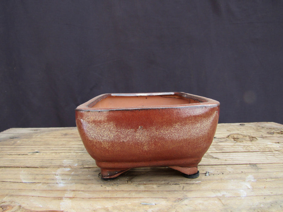 Aztec Orange Ceramic Professional Bonsai Pot - Rectangle - Side