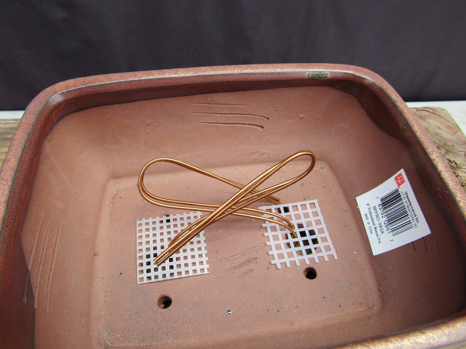 Aztec Orange Ceramic Professional Bonsai Pot - Rectangle With Attached Tray Inside