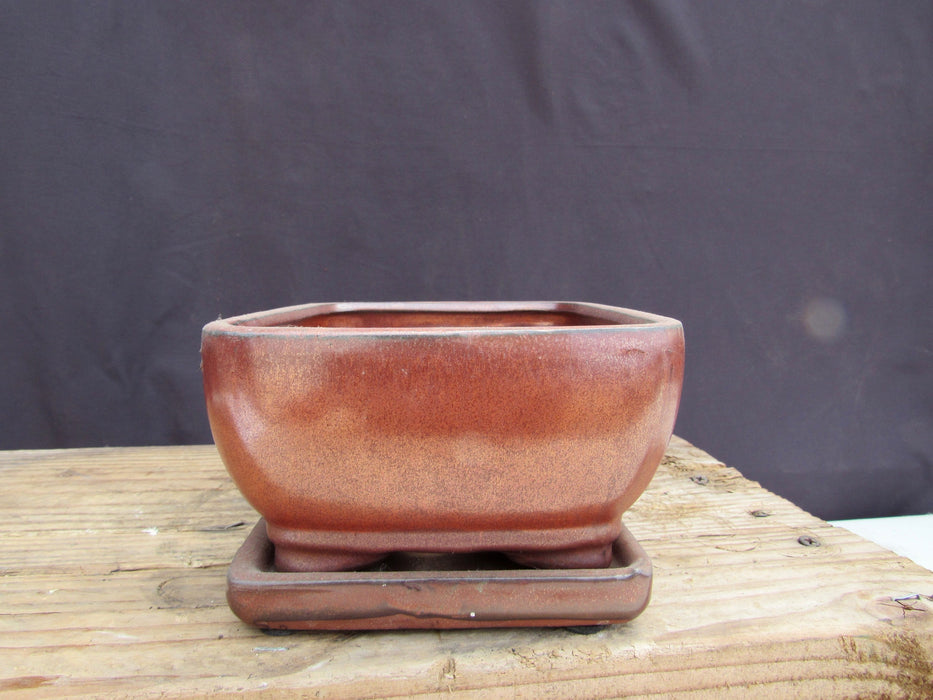 Aztec Orange Ceramic Professional Bonsai Pot - Rectangle With Attached Tray Side