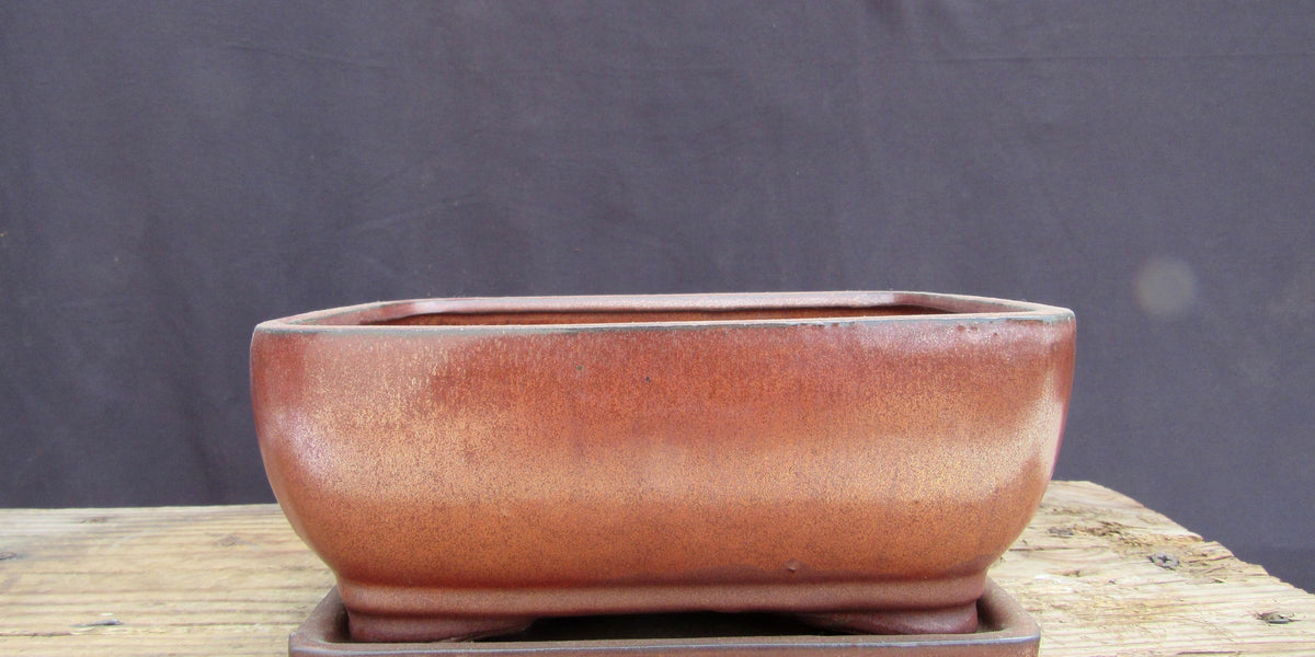 Aztec Orange Glazed Ceramic Professional Bonsai Pot - Rectangle With A