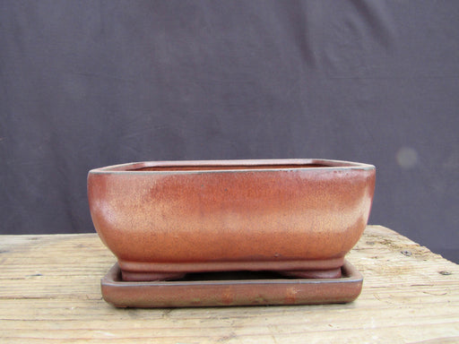 Aztec Orange Ceramic Professional Bonsai Pot - Rectangle With Attached Tray