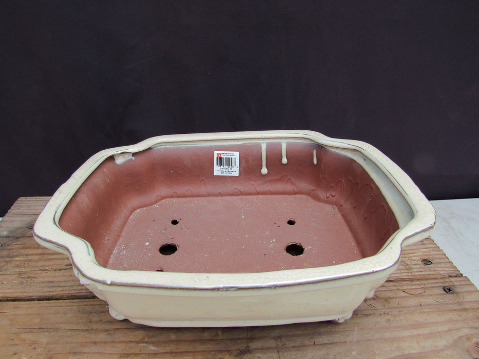 Beige Ceramic Bonsai Pot - Lotus Inside