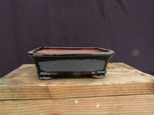 Black Ceramic Bonsai Pot - Rectangle - 10.25" x 8" x 3.5"