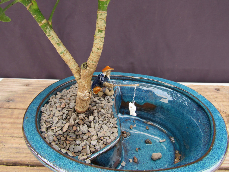 Hawaiian Umbrella Land and Water Bonsai Tree Figurine