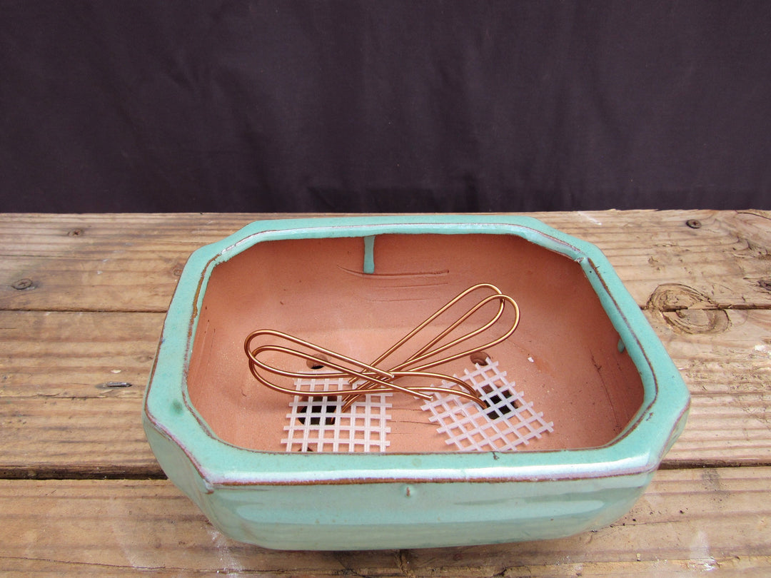 Light Blue Glazed Ceramic Professional Bonsai Pot - Lotus - Pre Wired