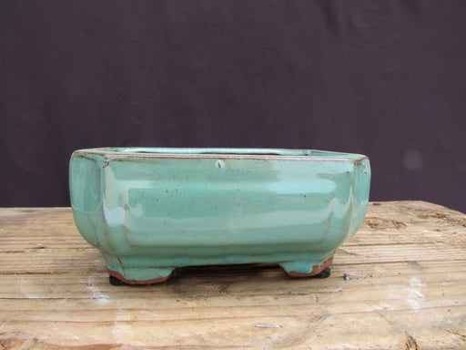 Light Blue Glazed Ceramic Professional Bonsai Pot - Lotus