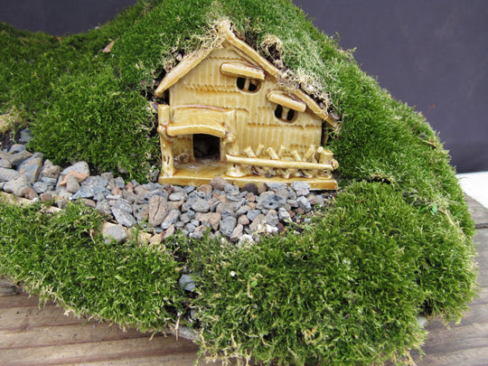 bonsai tree hobbit house Lord of the Rings Shire Theme Brush Cherry Tree Specimen Bonsai Tree