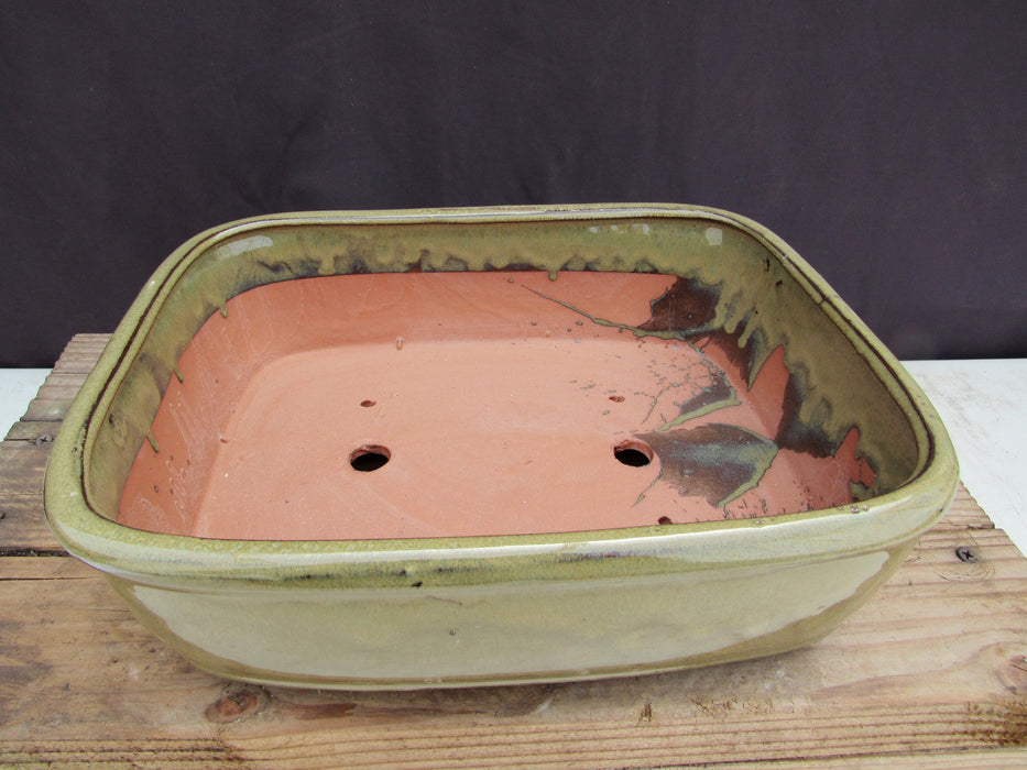 Olive Green Ceramic Bonsai Pot - Rectangle Inside