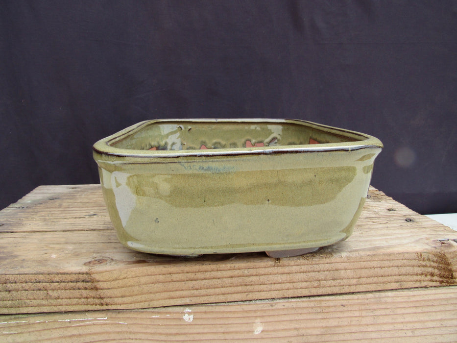 Olive Green Ceramic Bonsai Pot - Rectangle Side