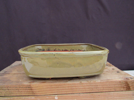 Olive Green Ceramic Bonsai Pot - Rectangle