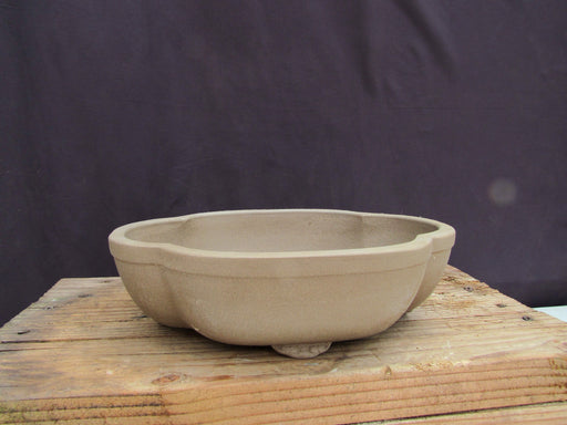 Unglazed Ceramic Professional Bonsai Pot - Lotus