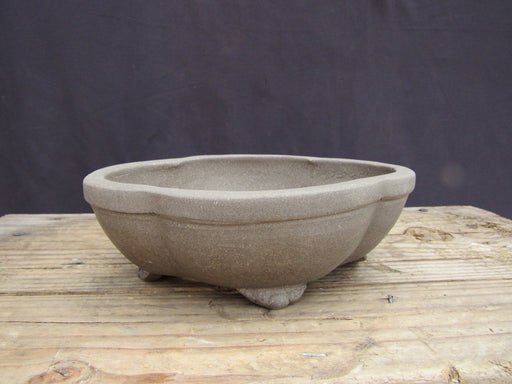 Unglazed Ceramic Professional Bonsai Pot - Lotus