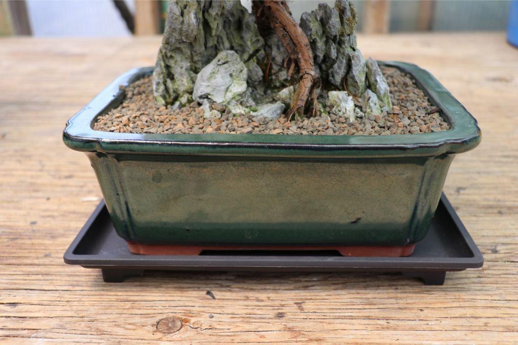 Bonsai Tree Drip Tray - Matching Size - Fit The Pot