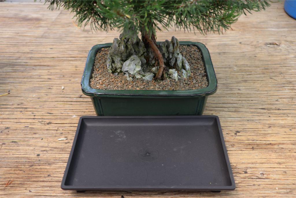 Bonsai Tree Drip Tray - Matching Size