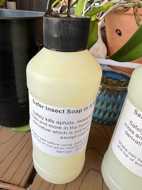 Safer EndAll Insect Killer Soap