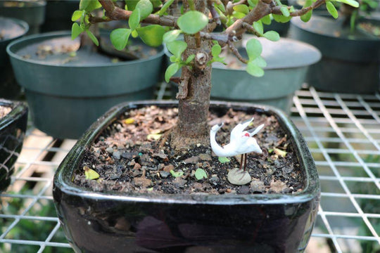 ceramic bonsai tree Ceramic Crane Bonsai Figurine