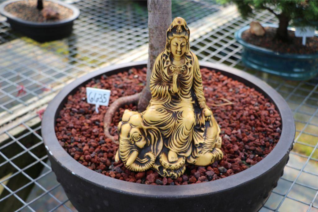 God of Longevity Vintage Buddha Bonsai Figurine