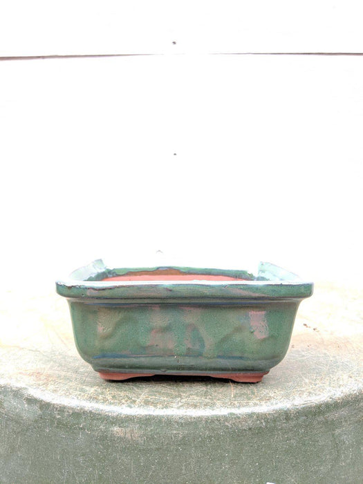 Green Ceramic Bonsai Pot - Rectangle - Profile