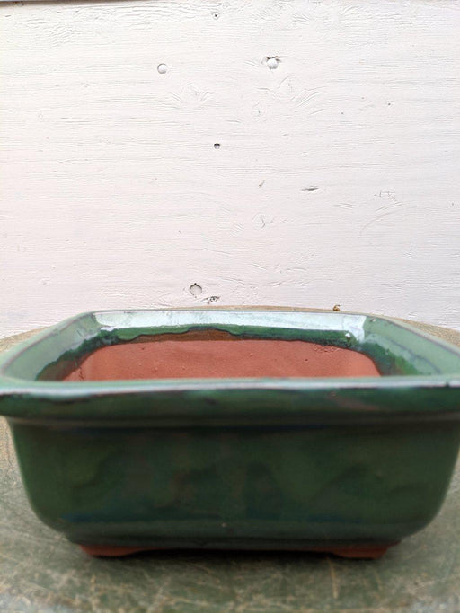 Parisian Red Ceramic Bonsai Pot - Rectangle19.5