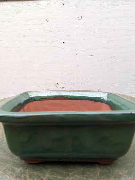 Green Ceramic Bonsai Pot - Rectangle