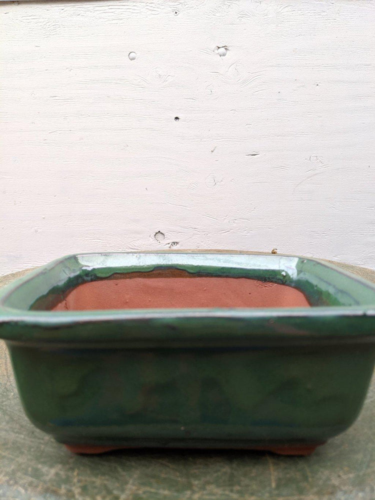 Green Ceramic Bonsai Pot - Rectangle