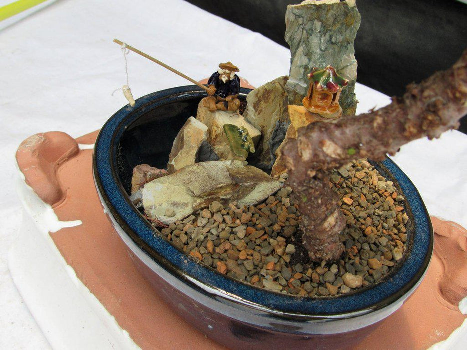 Traditional Juniper Bonsai Tree in a Stone Landscape Scene Fisherman Figurine