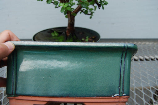 Large Green Ceramic Bonsai Pot (8.5" x 6.625" x 3.5")
