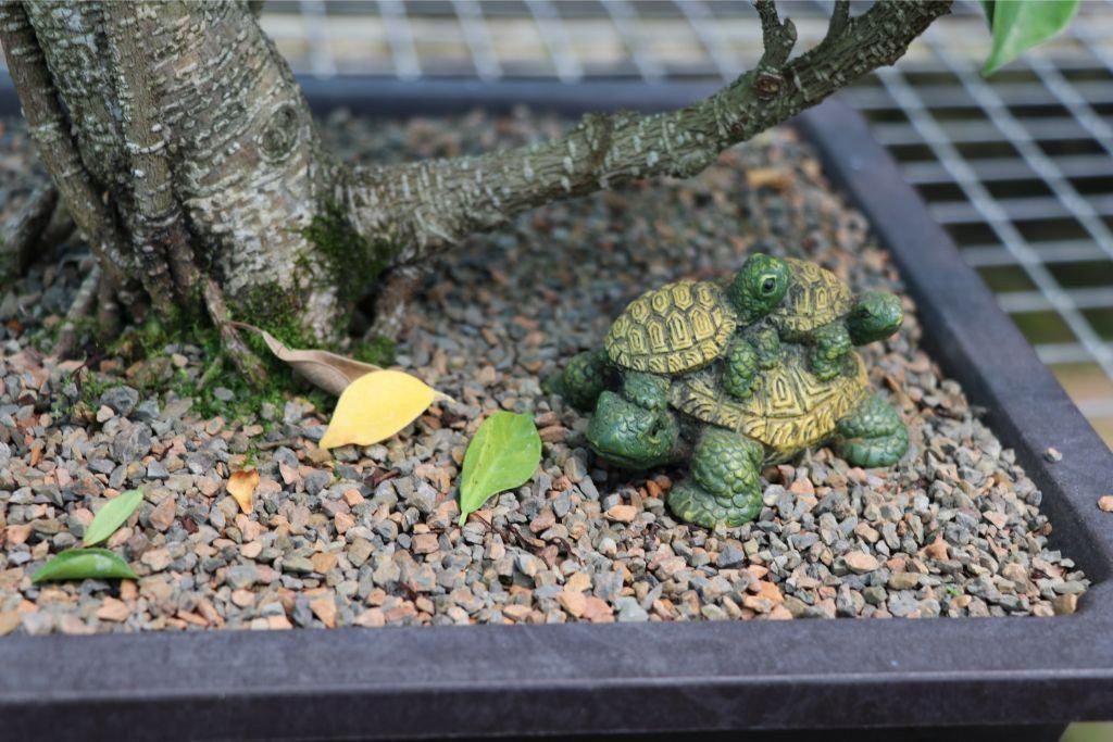 Turtle Family Bonsai Figurine