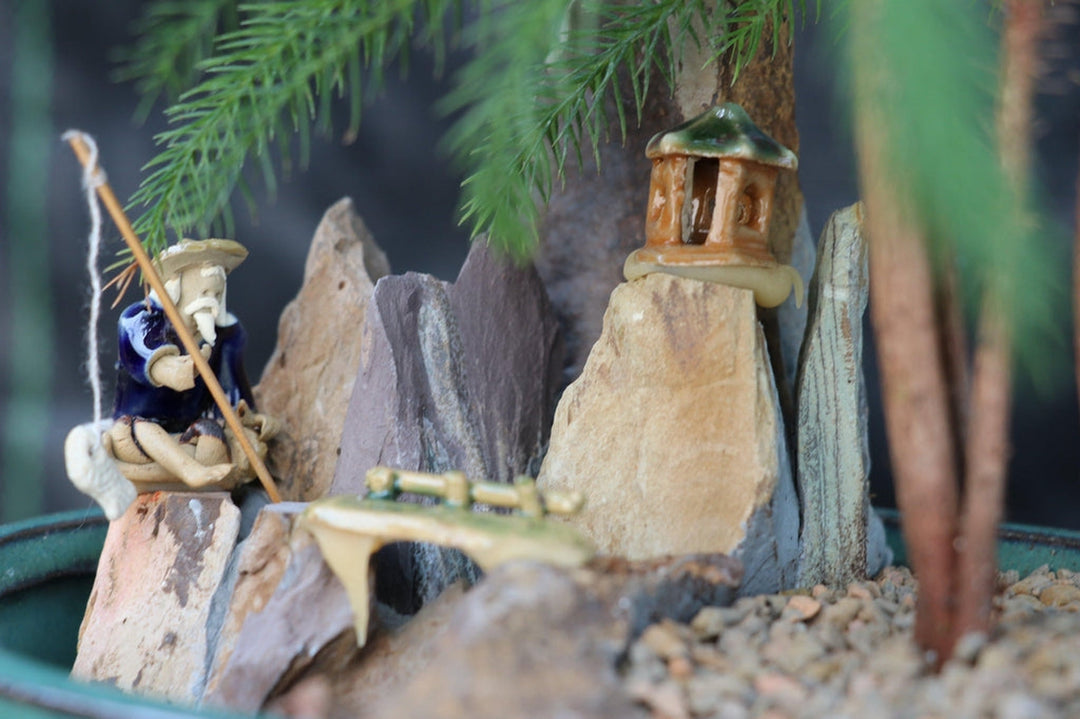 Norfolk Island Pine Bonsai Tree Decoration