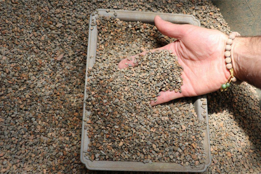 bonsai tree soil for sale Professional Bonsai Soil