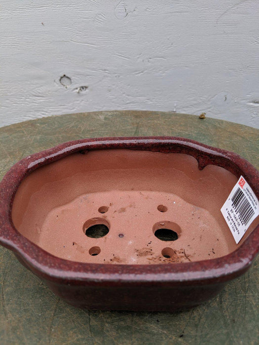 Red Ceramic Bonsai Pot - Rectangle - Inside with dirt
