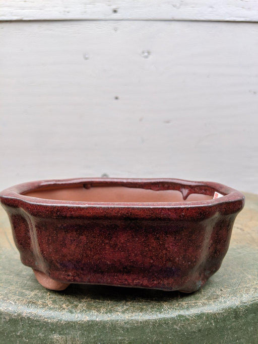 Red Ceramic Bonsai Pot - Rectangle