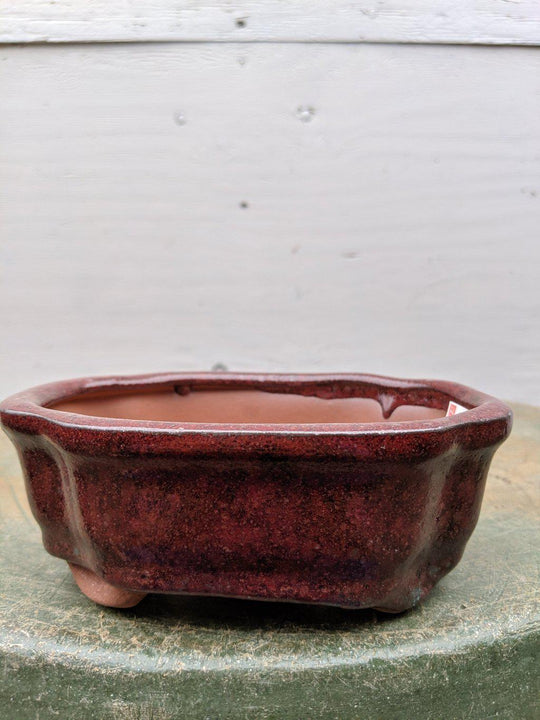 Red Ceramic Bonsai Pot Rectangle