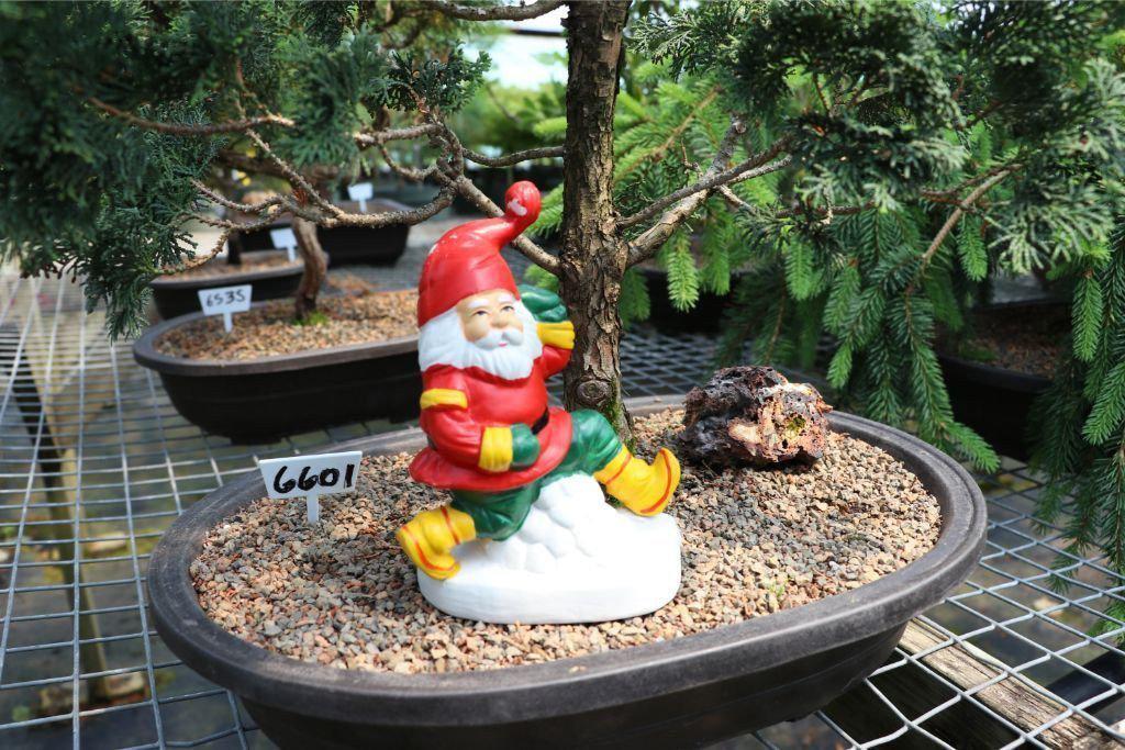 Santa Claus Bonsai Figurine