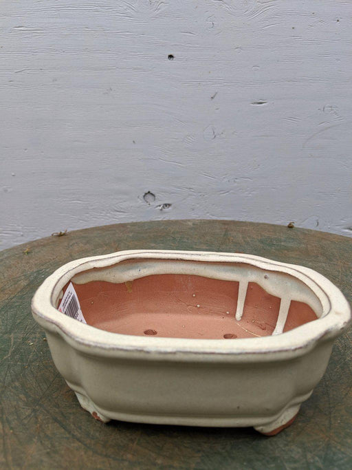 Parisian Red Ceramic Bonsai Pot - Rectangle19.5